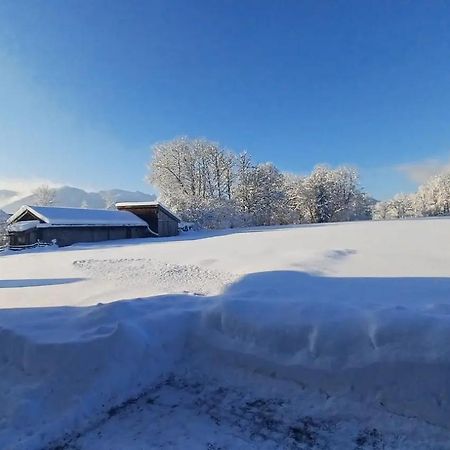 Ferienwohnung Geierstein Wackersberg Dış mekan fotoğraf