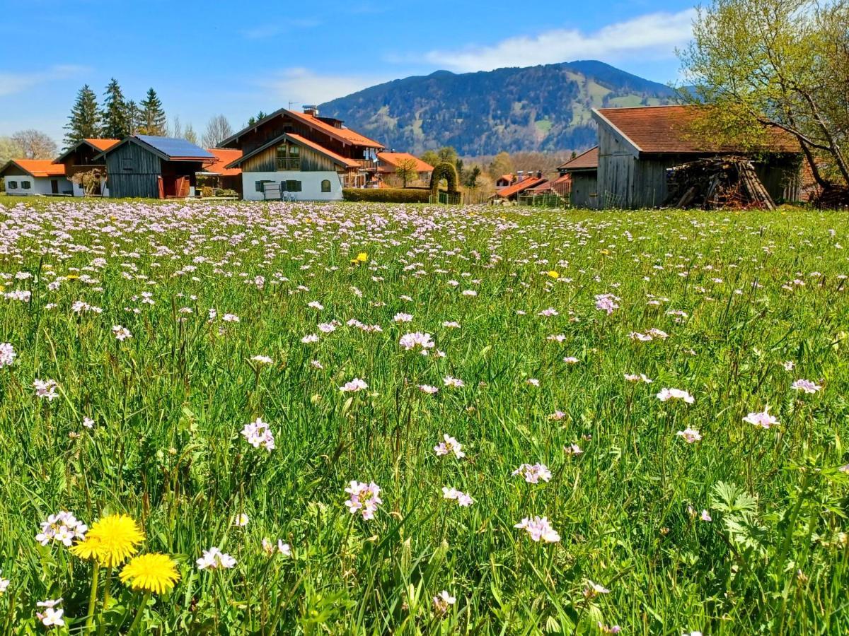 Ferienwohnung Geierstein Wackersberg Dış mekan fotoğraf