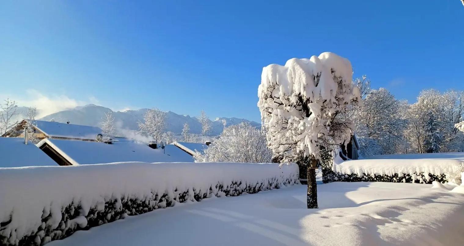 Ferienwohnung Geierstein Wackersberg Dış mekan fotoğraf